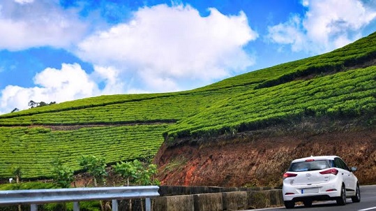 munnar travel experience
